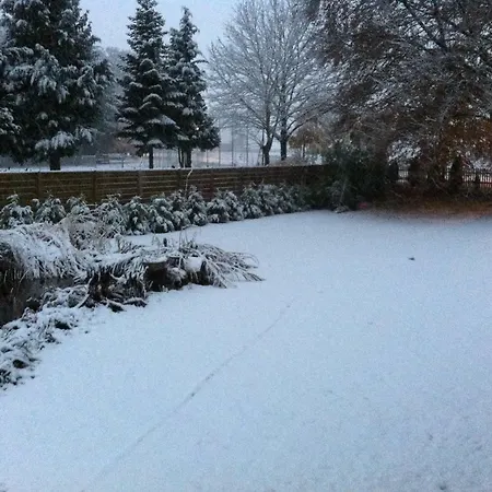 Apartamento Forsthof *