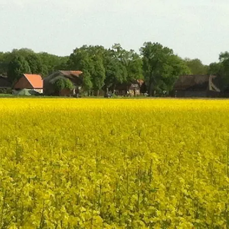 Forsthof Apartamento Bergen (Lower-Saxony)