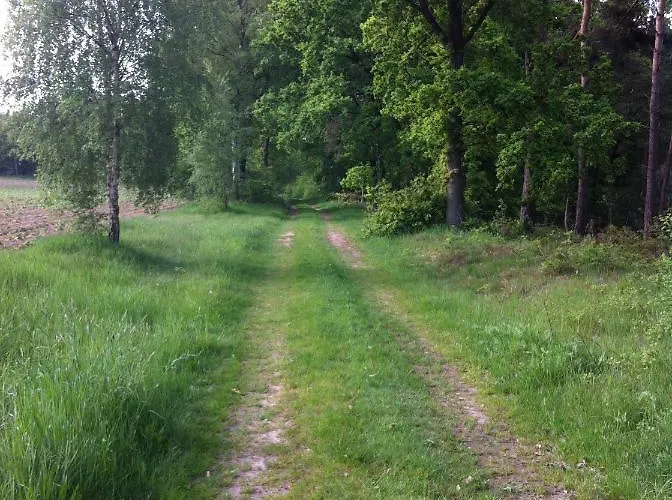 Forsthof * Берген